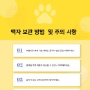 샤미 아틀리에