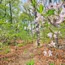 포항상생숲길 이미지