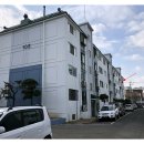 솔빛치과의원 이미지