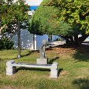 영광잔디 이미지