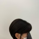 모모란