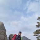 홍성 오뚜기 이미지