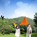 종이비행기 이미지