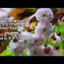 The Waltz of Whispers (속삭임의 왈츠, Michael Hoppe) 이미지