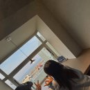 속초커피