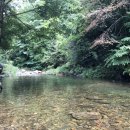 샾 펜션 이미지