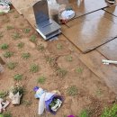 명지자연병원 이미지