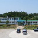 강진5호 이미지