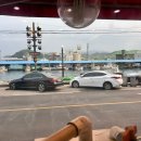 동남호대게 이미지