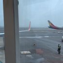 하늘바다약국 이미지