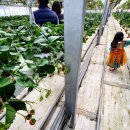 김재호 농장 이미지