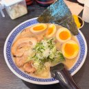 주흥길 40-5 | 신논현역 점심 혼밥 맛집 돈코츠라멘 멘야시노기