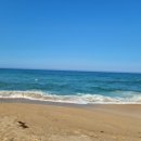 베리식스 이미지