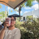 영미농장2 | 캘리포니아 여행기 Everything is fine / 존 스타인벡 분노의포도