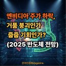 한국장의산업 | 엔비디아 주가 하락, 거품 붕괴인가 줍줍 기회인가? (2025 반도체 전망)
