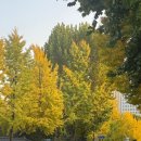 (주)락소프트 | 기쁘다 10월 말 일상!!기록!!