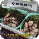 솔밭상회 - 포천시 가산로 232 | 솔밭상회