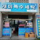 선경세탁소 | 특수세탁으로 알려져 유명한 울산 모피세탁 전문점 '개미특수세탁'
