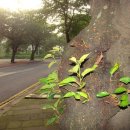 천백 휴양펜션 이미지