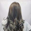 살롱드네이처 이미지