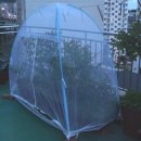 앵화농장 이미지