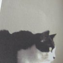 생각의집 이미지