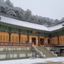 총림목장 네이버블로그