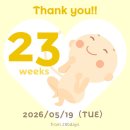 나눔로또편의점 | 21w-26w 임신 중기 일기 | 먹태교부터 임당검사, 육아용품 준비까지