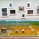 고양가와지볍씨박물관 이미지