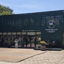 포천 마이애니멀스토리 in 평강랜드 | '국내 최초 테디베어소 있는 곳' 입장료 먹이체험 후기