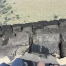 표선김밥