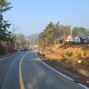 솔향기 힐링 하우스 이미지