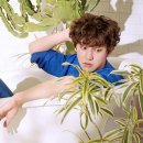 찬열 카카오 검색결과