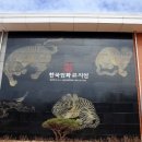 한국민화뮤지엄 웹이코노미