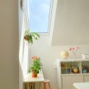 가고싶은민박 이미지