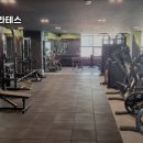 아프로휘트니스 이미지