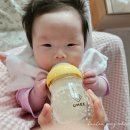 일곱색깔어린이집 | 19개월 아기 육아 동안 육아용품 필수 템, 불필요템 정리(식사, 수유 관련 편)