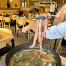 고기도감 | 여의도 맛집 여의도감, 단체회식 장소 고민 끝! 백합탕 낙지 샤브샤브 항정살 보쌈 후기