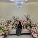 아이씨씨 | 대전 팔레드 오페라 트리아농 홀 계약후기 <대전 팔레드 오페라>