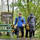 서울대공원 (35 매화산악회 정기산행 - 2024. 4. 16) 이미지