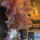 해물요리군산(군산아구찜) | 군산에서 깔끔한 해물요리 찾는다면, 한성아구찜 아구수육 추천!❤️‍