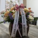 나의 “건설사” 취업일지