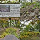 문의 장군봉산성 이미지