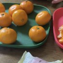 아인이네농장 이미지