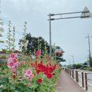 청하면행정복지센터 이미지