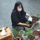 대흥크리닝 이미지