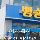 빵숑숑 네이버블로그