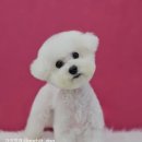 가치있개 이미지