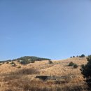 풍경목장 | 2월 제주 용눈이오름 방문후기｜겨울 억새와 말 목장 풍경