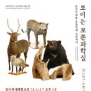 강원특별자치도산림박물관 이미지